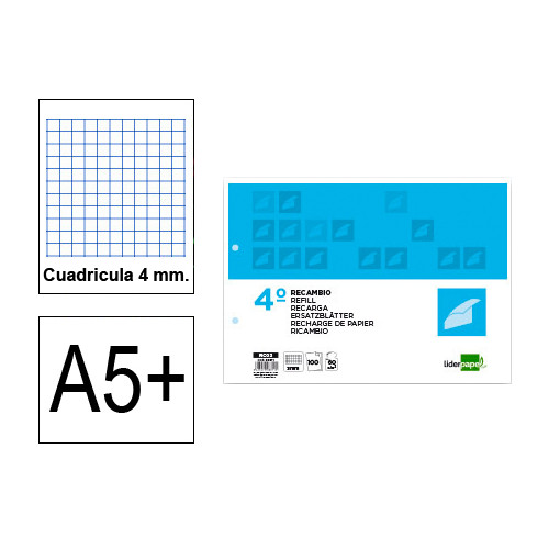 Recambio de anillas con 2 taladros liderpapel, 4º apaisado, 100 hj. 60 grs/m². 4x4 c/m.