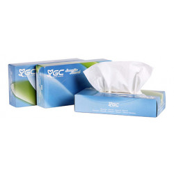 Pañuelo facial de papel tisú goma-camps, 100% celulosa virgen, 2 capas, 200x204 mm. caja dispensadora de 100 uds.
