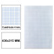Papel florete liderpapel, 430x315 mm. 60 grs/m². 4x4 mm. paquete de 250 hojas