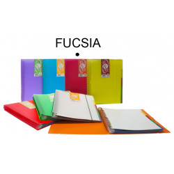 Carpeta con 30 fundas + 5 separadores extraíbles grafoplas in&out traslúcido din a4, fucsia