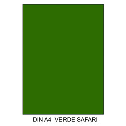 Cartulina canson iris, din a4, 185 grs/m². verde safari